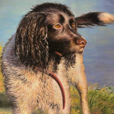 Dog